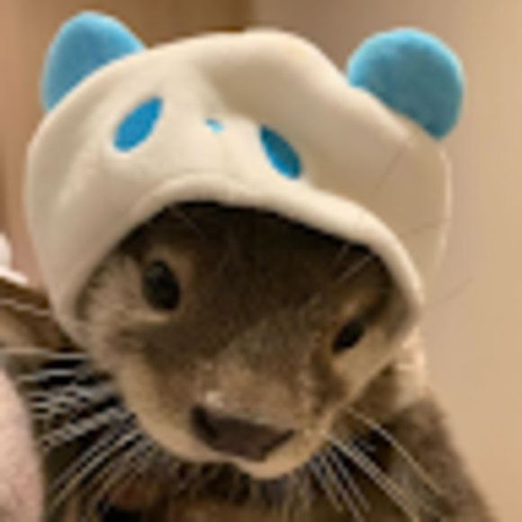 levikitty19